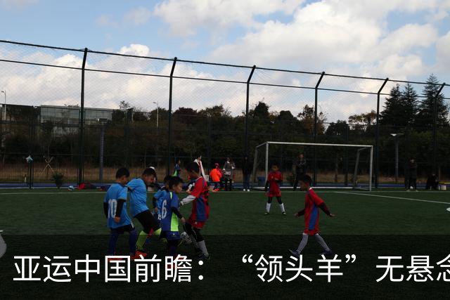 亚运中国前瞻：“领头羊”无悬念 “含金量”见真章